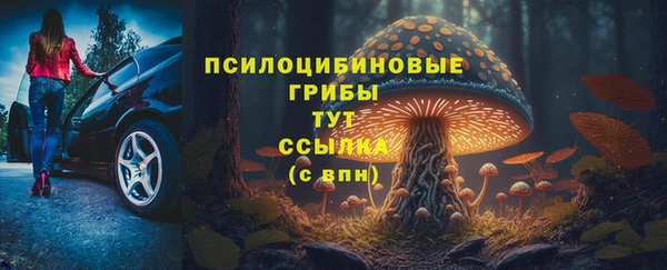гашик Навашино
