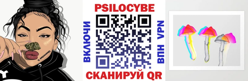 кракен зеркало  Осташков  Псилоцибиновые грибы Cubensis 